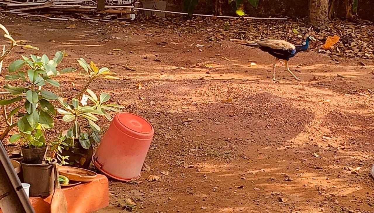Stan-Inn, North Goa, Vagator, With Strong Wifi,Free Private Parking & Kitchen, Can Cook Where You Stay エクステリア 写真